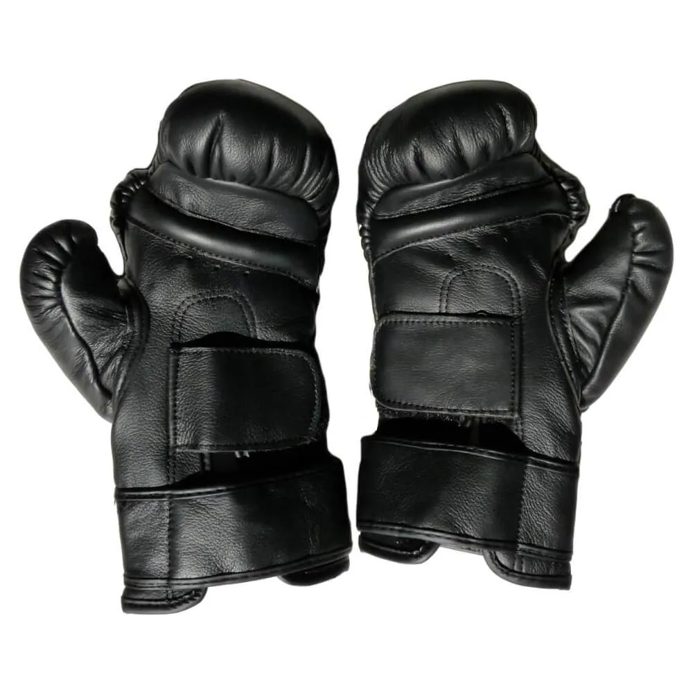 Nippon Kenpo Pair of Gloves